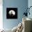 Moonrise in May II-Douglas Taylor-Photographic Print displayed on a wall