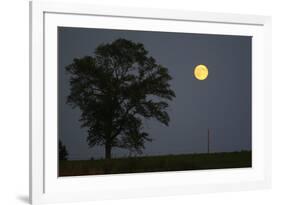 Moonrise Lone Tree-Robert Goldwitz-Framed Photographic Print