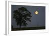 Moonrise Lone Tree-Robert Goldwitz-Framed Photographic Print