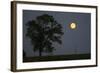 Moonrise Lone Tree-Robert Goldwitz-Framed Photographic Print