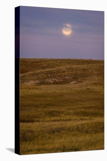 Moonrise Over Badlands South Dakota-Steve Gadomski-Stretched Canvas