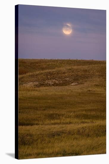 Moonrise Over Badlands South Dakota-Steve Gadomski-Stretched Canvas