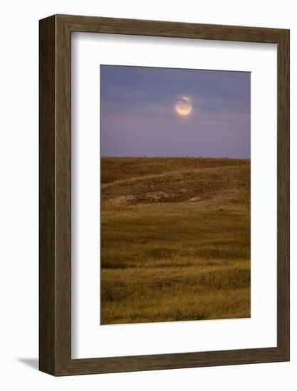 Moonrise Over Badlands South Dakota-Steve Gadomski-Framed Photographic Print