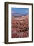 Moonrise over Bryce Canyon Amphitheater from Sunrise Point-Michael Nolan-Framed Photographic Print