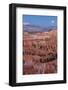 Moonrise over Bryce Canyon Amphitheater from Sunrise Point-Michael Nolan-Framed Photographic Print