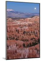 Moonrise over Bryce Canyon Amphitheater from Sunrise Point-Michael Nolan-Mounted Photographic Print