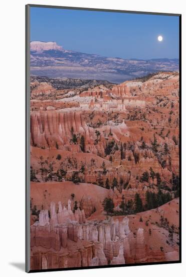 Moonrise over Bryce Canyon Amphitheater from Sunrise Point-Michael Nolan-Mounted Photographic Print