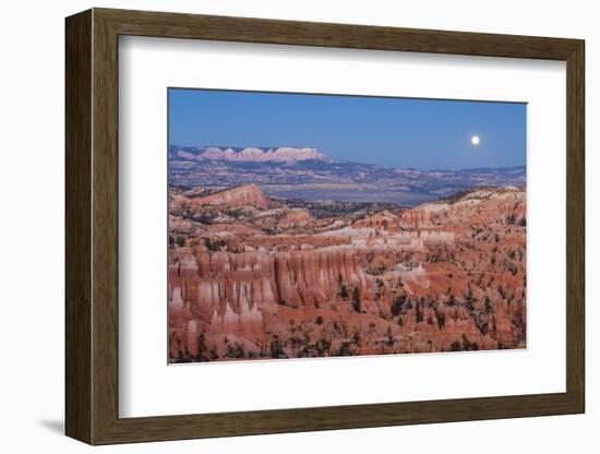 Moonrise over Bryce Canyon Amphitheater from Sunrise Point-Michael Nolan-Framed Photographic Print