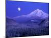 Moonrise over Mt. Hood, Oregon, USA-Janis Miglavs-Mounted Premium Photographic Print