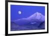 Moonrise over Mt. Hood, Oregon, USA-Janis Miglavs-Framed Photographic Print