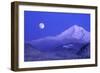 Moonrise over Mt. Hood, Oregon, USA-Janis Miglavs-Framed Photographic Print