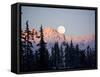 Moonrise over the North Cascades at Sunset, as Seen from Mount Baker, Washington.-Ethan Welty-Framed Stretched Canvas