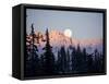 Moonrise over the North Cascades at Sunset, as Seen from Mount Baker, Washington.-Ethan Welty-Framed Stretched Canvas