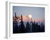 Moonrise over the North Cascades at Sunset, as Seen from Mount Baker, Washington.-Ethan Welty-Framed Photographic Print