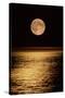 Moonrise-David Nunuk-Stretched Canvas