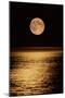 Moonrise-David Nunuk-Mounted Premium Photographic Print