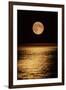 Moonrise-David Nunuk-Framed Photographic Print