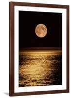 Moonrise-David Nunuk-Framed Photographic Print