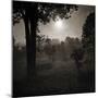 Moonscape Trees-Pete Kelly-Mounted Giclee Print
