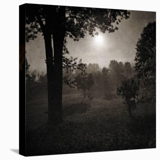 Moonscape Trees-Pete Kelly-Stretched Canvas