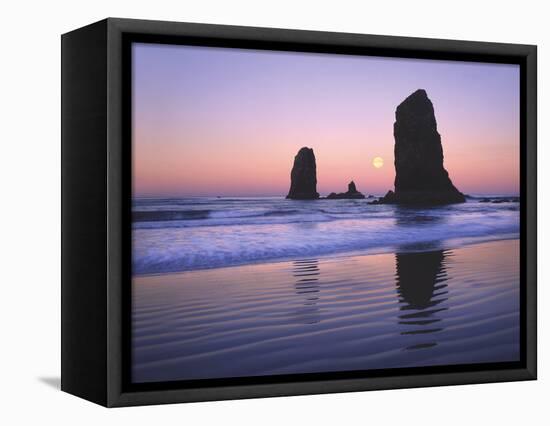 Moonset Between the Needles Rocks in Early Morning Light, Cannon Beach, Oregon, USA-Steve Terrill-Framed Stretched Canvas