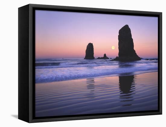 Moonset Between the Needles Rocks in Early Morning Light, Cannon Beach, Oregon, USA-Steve Terrill-Framed Stretched Canvas