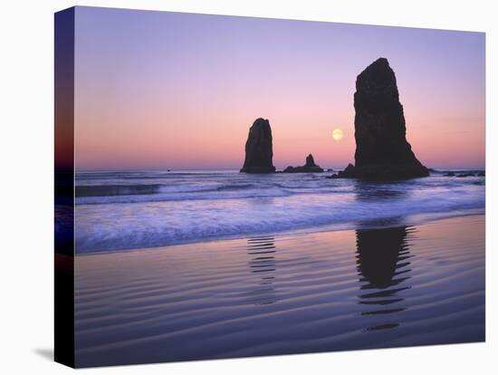 Moonset Between the Needles Rocks in Early Morning Light, Cannon Beach, Oregon, USA-Steve Terrill-Stretched Canvas