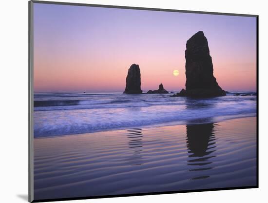 Moonset Between the Needles Rocks in Early Morning Light, Cannon Beach, Oregon, USA-Steve Terrill-Mounted Photographic Print