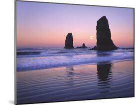 Moonset Between the Needles Rocks in Early Morning Light, Cannon Beach, Oregon, USA-Steve Terrill-Mounted Photographic Print