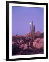 Moonset Desert Scenic and Boojum Cactus, Catavina, Mexico-Stuart Westmoreland-Framed Photographic Print