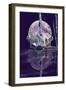 Moonset Point-Gordon Semmens-Framed Giclee Print