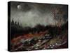 Moonshine 459001-Pol Ledent-Stretched Canvas