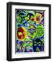 Moonshine-Diana Ong-Framed Giclee Print