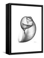 Moonsnail 3-Albert Koetsier-Framed Stretched Canvas