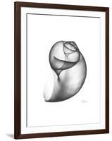 Moonsnail 3-Albert Koetsier-Framed Premium Giclee Print