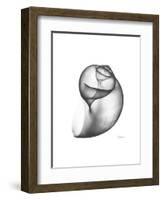 Moonsnail 3-Albert Koetsier-Framed Premium Giclee Print