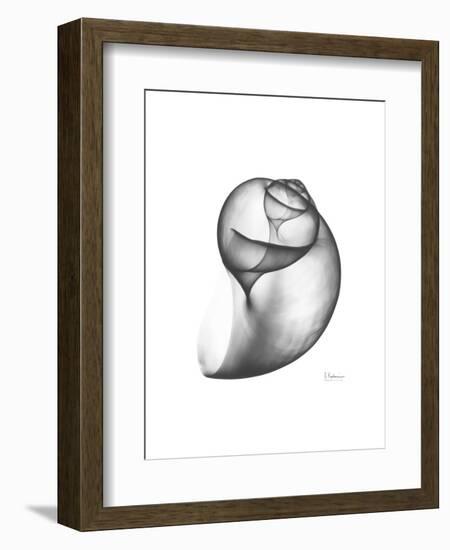 Moonsnail 3-Albert Koetsier-Framed Premium Giclee Print