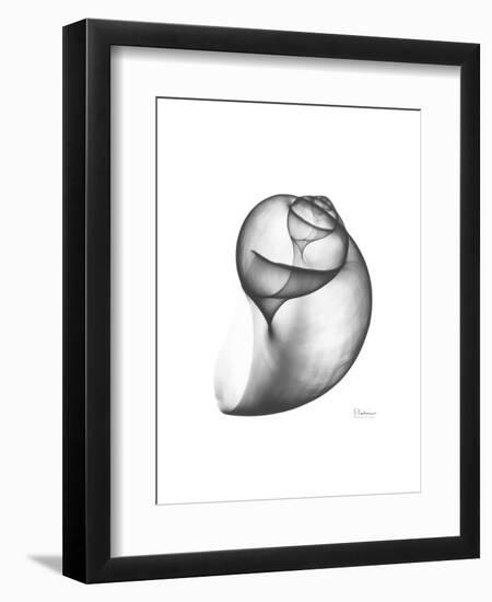 Moonsnail 3-Albert Koetsier-Framed Premium Giclee Print