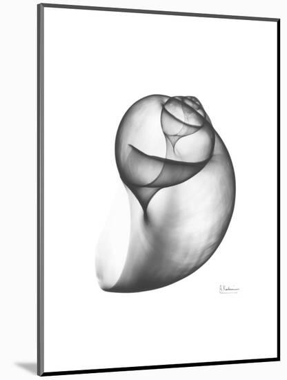 Moonsnail 3-Albert Koetsier-Mounted Premium Giclee Print