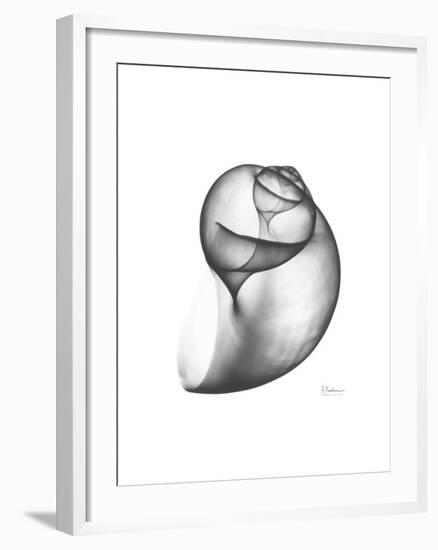 Moonsnail 3-Albert Koetsier-Framed Premium Giclee Print