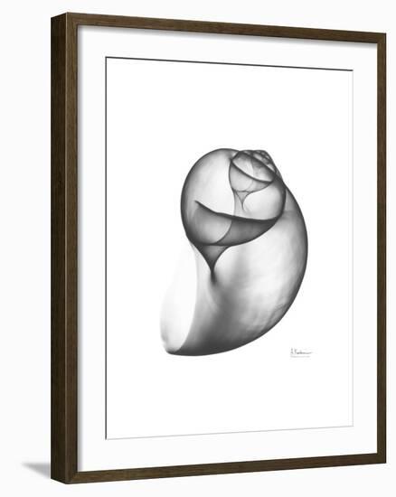 Moonsnail 3-Albert Koetsier-Framed Premium Giclee Print