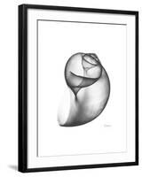 Moonsnail 3-Albert Koetsier-Framed Premium Giclee Print