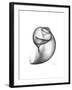 Moonsnail 3-Albert Koetsier-Framed Premium Giclee Print