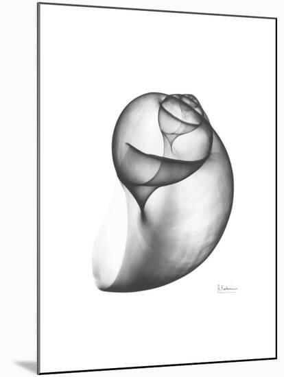 Moonsnail 3-Albert Koetsier-Mounted Premium Giclee Print