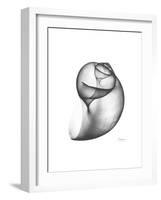 Moonsnail 3-Albert Koetsier-Framed Premium Giclee Print