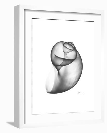 Moonsnail 3-Albert Koetsier-Framed Premium Giclee Print