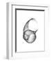 Moonsnail 4-Albert Koetsier-Framed Premium Giclee Print