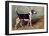 Moonstone, 1895-John Emms-Framed Giclee Print