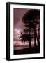 Moonstone Beach Tree Silhouettes-Vincent James-Framed Photographic Print