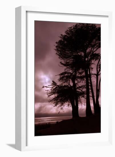 Moonstone Beach Tree Silhouettes-Vincent James-Framed Photographic Print